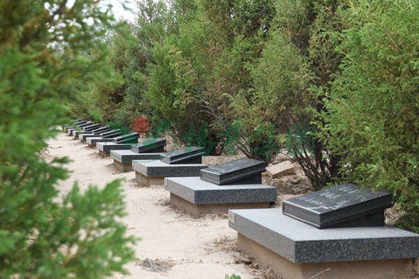 122cc太阳集成游戏(中国)有限公司官网