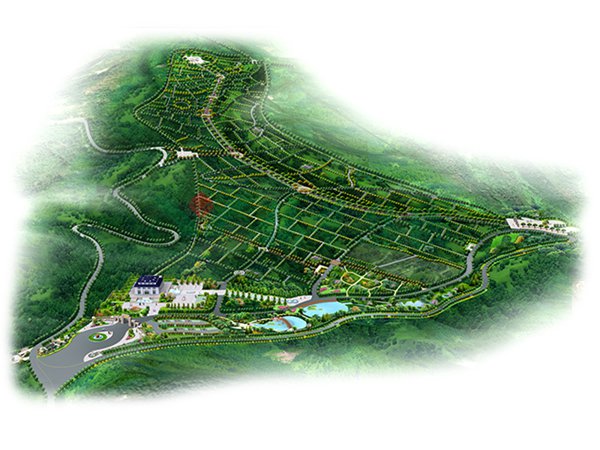 122cc太阳集成游戏(中国)有限公司官网