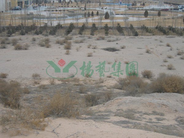 122cc太阳集成游戏(中国)有限公司官网