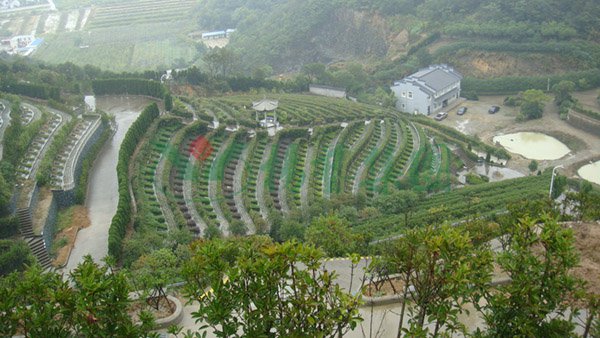 122cc太阳集成游戏(中国)有限公司官网