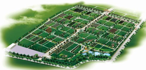 122cc太阳集成游戏(中国)有限公司官网