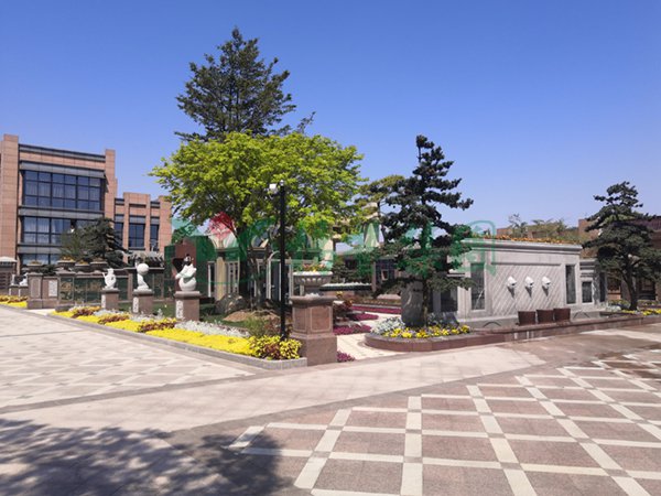 122cc太阳集成游戏(中国)有限公司官网