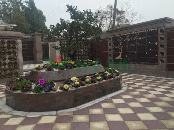 122cc太阳集成游戏(中国)有限公司官网