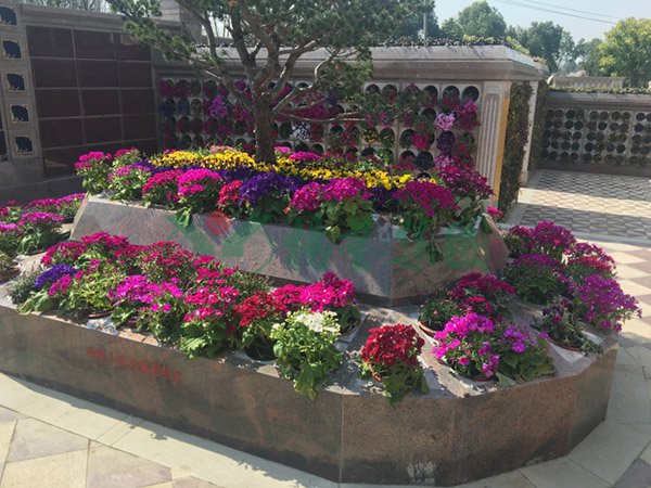 122cc太阳集成游戏(中国)有限公司官网