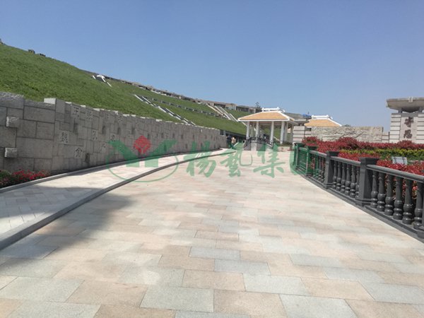 122cc太阳集成游戏(中国)有限公司官网