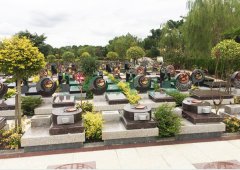 上；；懔靶腔鹎