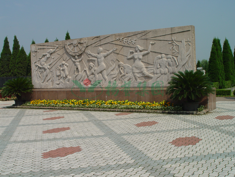 122cc太阳集成游戏(中国)有限公司官网