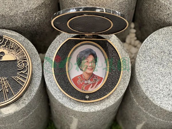 122cc太阳集成游戏(中国)有限公司官网