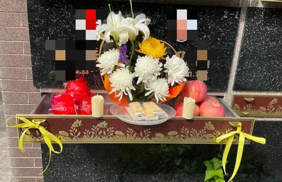 122cc太阳集成游戏(中国)有限公司官网