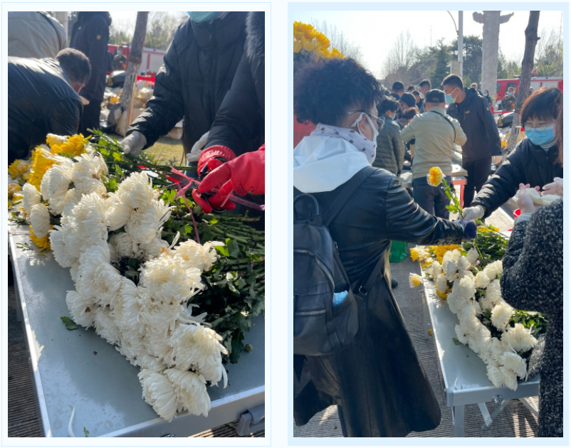 122cc太阳集成游戏(中国)有限公司官网