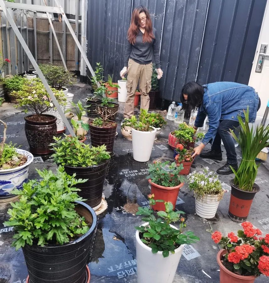 122cc太阳集成游戏(中国)有限公司官网