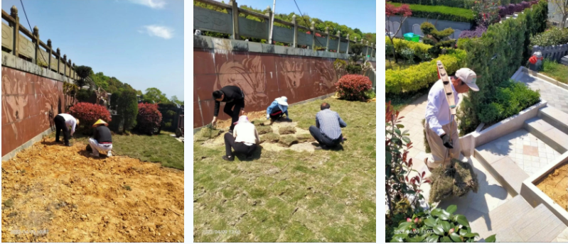 122cc太阳集成游戏(中国)有限公司官网