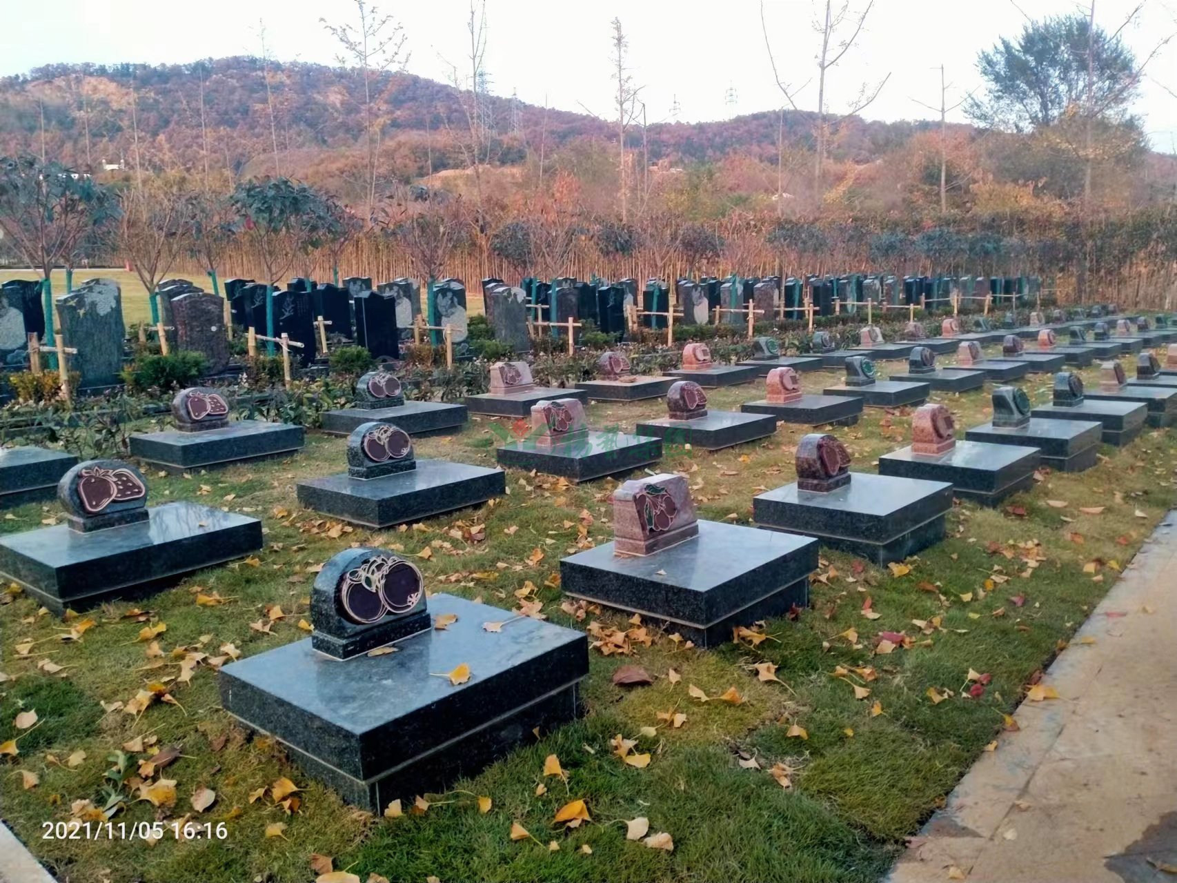 122cc太阳集成游戏(中国)有限公司官网