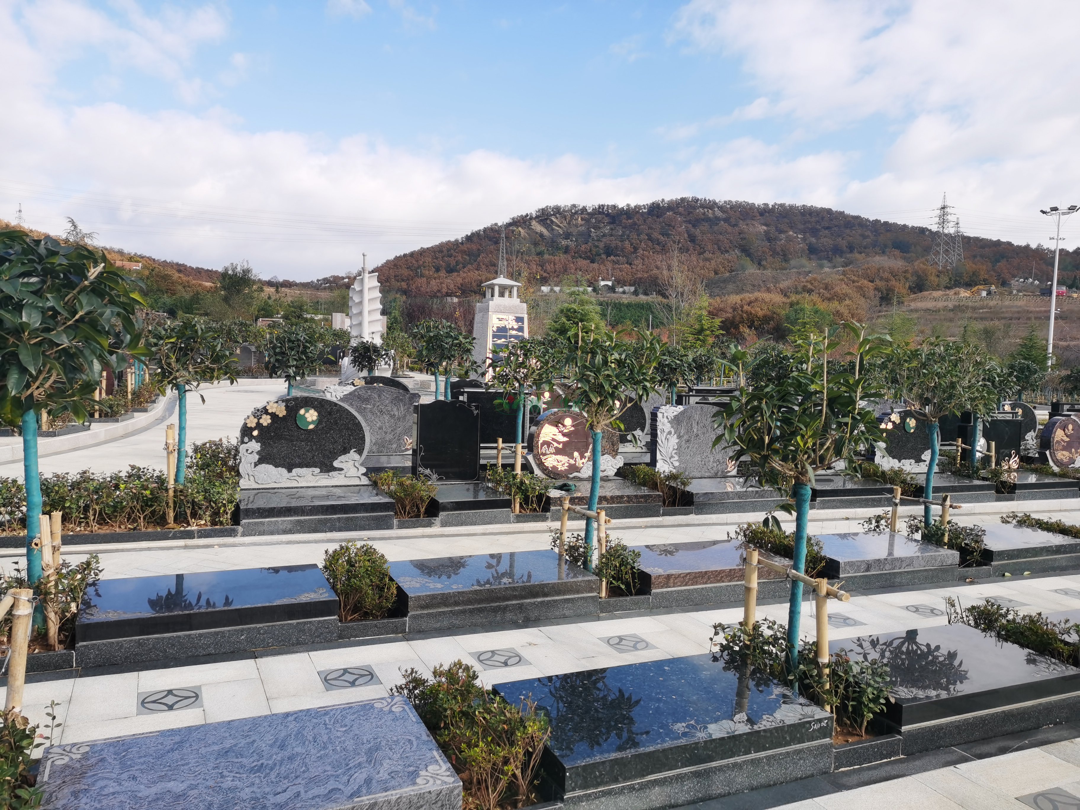 122cc太阳集成游戏(中国)有限公司官网