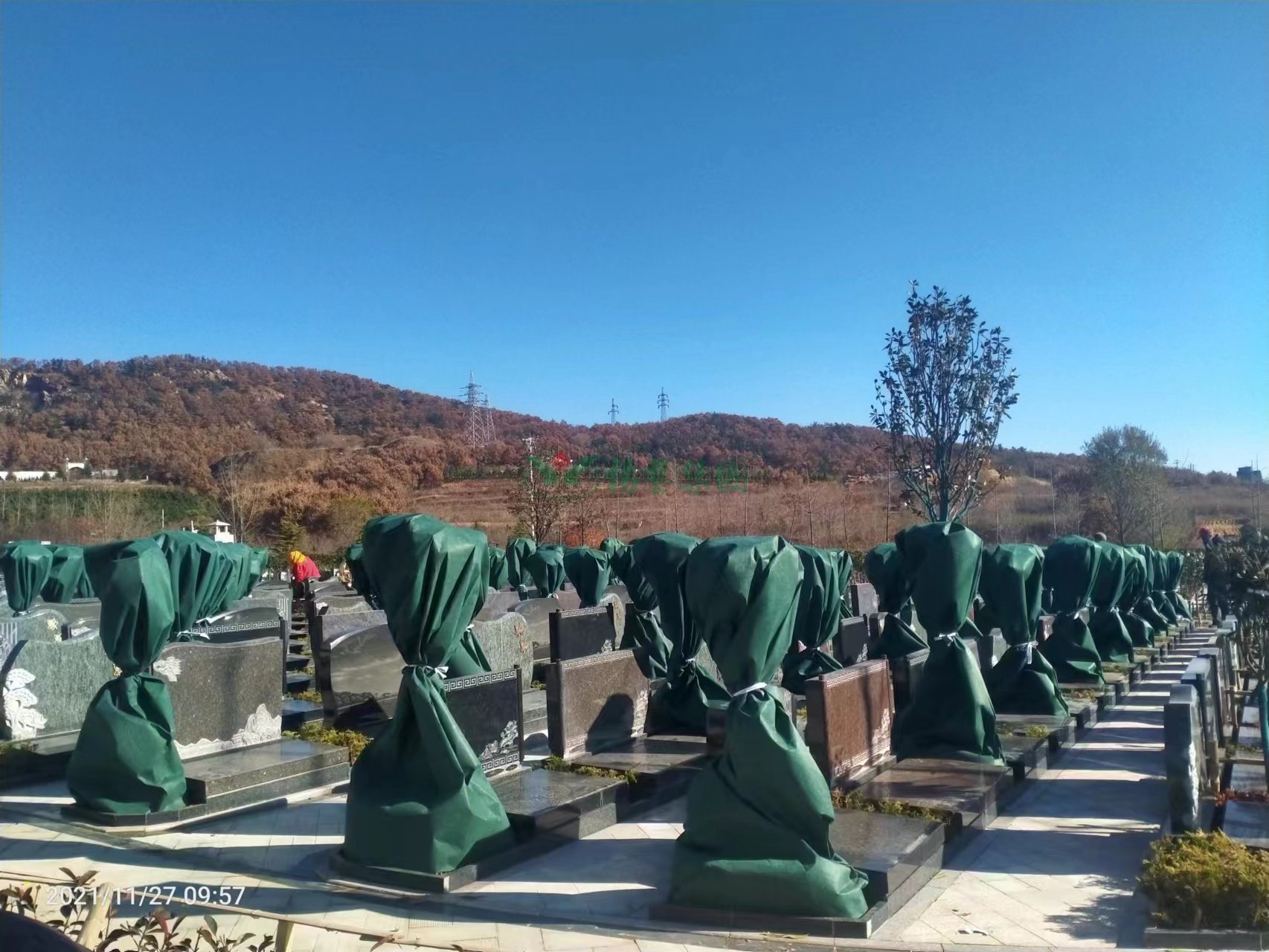 122cc太阳集成游戏(中国)有限公司官网