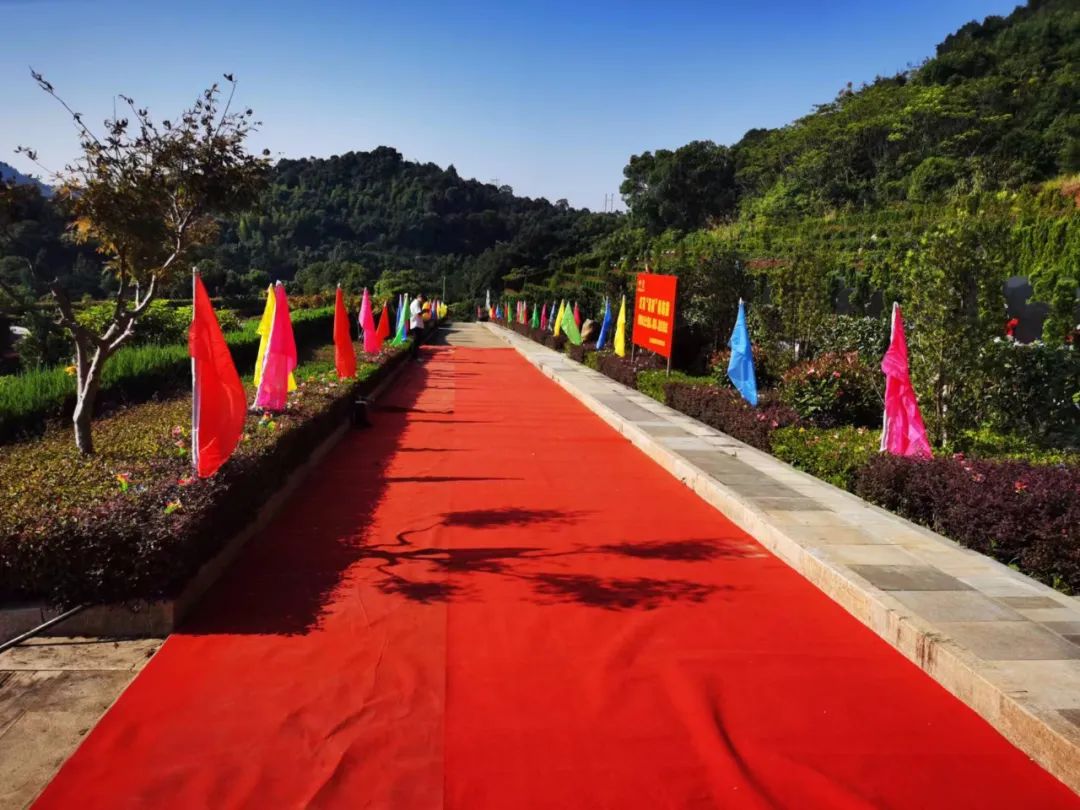 122cc太阳集成游戏(中国)有限公司官网