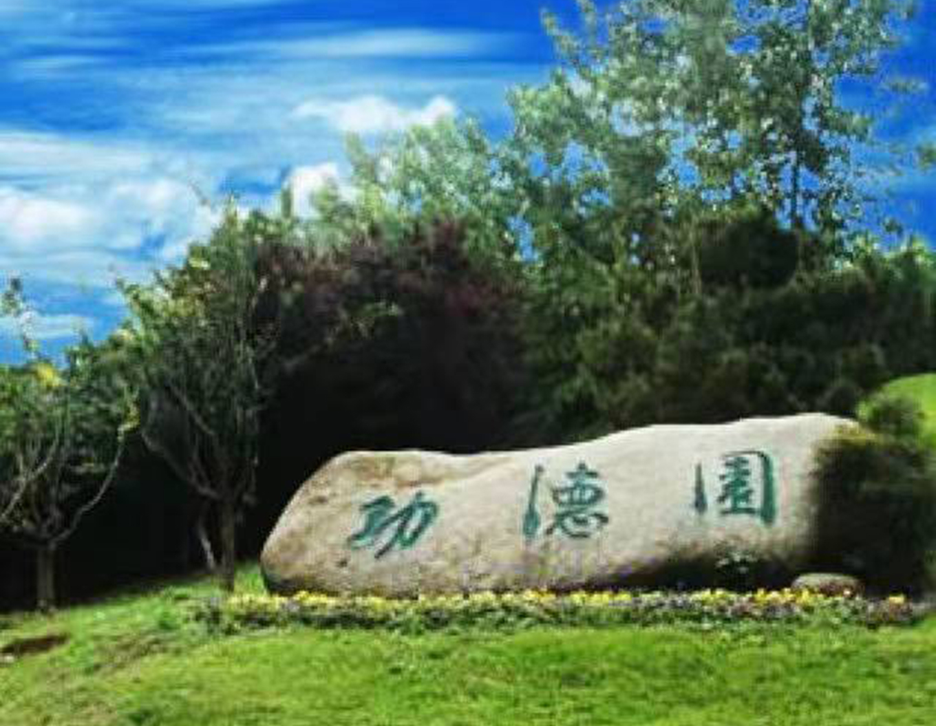 122cc太阳集成游戏(中国)有限公司官网