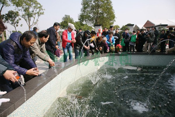 122cc太阳集成游戏(中国)有限公司官网