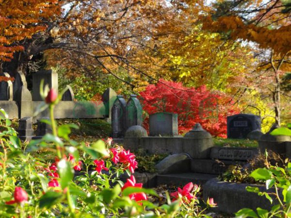 122cc太阳集成游戏(中国)有限公司官网