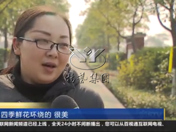 122cc太阳集成游戏(中国)有限公司官网