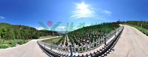 122cc太阳集成游戏(中国)有限公司官网