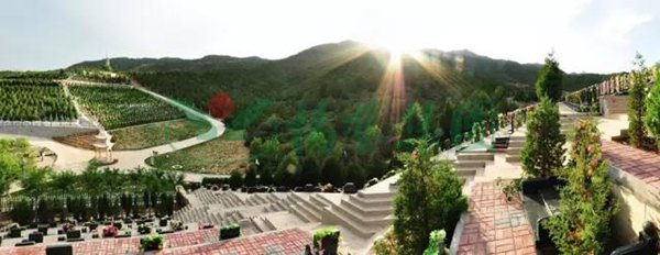 122cc太阳集成游戏(中国)有限公司官网