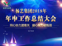 122cc太阳集成游戏集团2018年中总结报告（摘要）