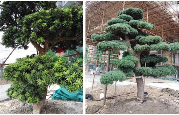 122cc太阳集成游戏(中国)有限公司官网