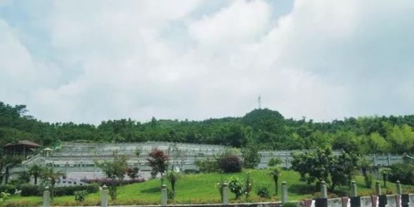 122cc太阳集成游戏(中国)有限公司官网