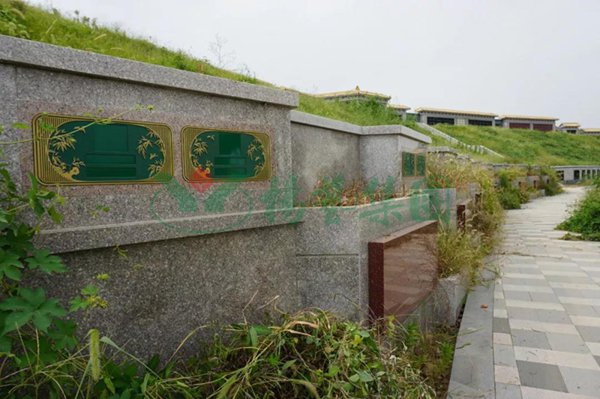 122cc太阳集成游戏(中国)有限公司官网