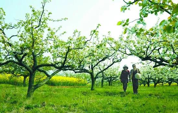 122cc太阳集成游戏(中国)有限公司官网