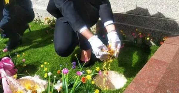 122cc太阳集成游戏(中国)有限公司官网