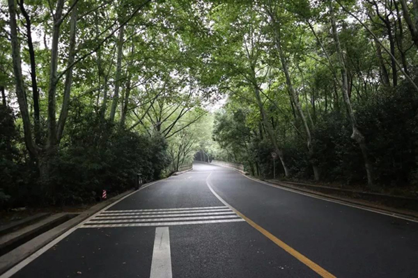 122cc太阳集成游戏(中国)有限公司官网