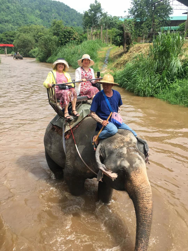 122cc太阳集成游戏(中国)有限公司官网