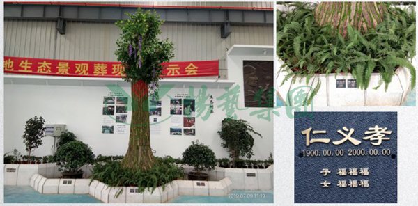 122cc太阳集成游戏(中国)有限公司官网