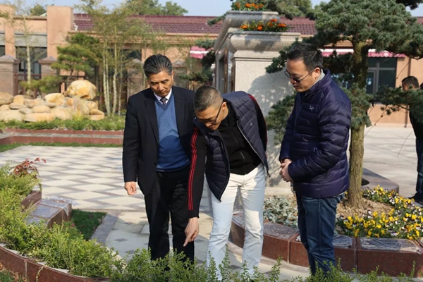 122cc太阳集成游戏(中国)有限公司官网