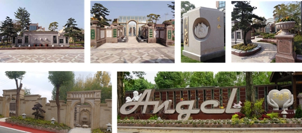 122cc太阳集成游戏(中国)有限公司官网