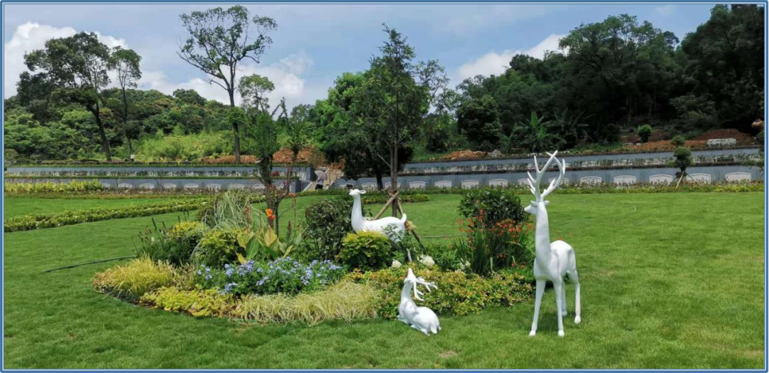 122cc太阳集成游戏(中国)有限公司官网