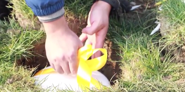 122cc太阳集成游戏(中国)有限公司官网