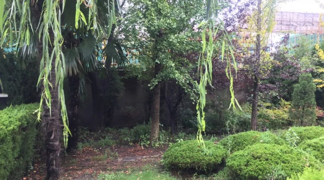 122cc太阳集成游戏(中国)有限公司官网