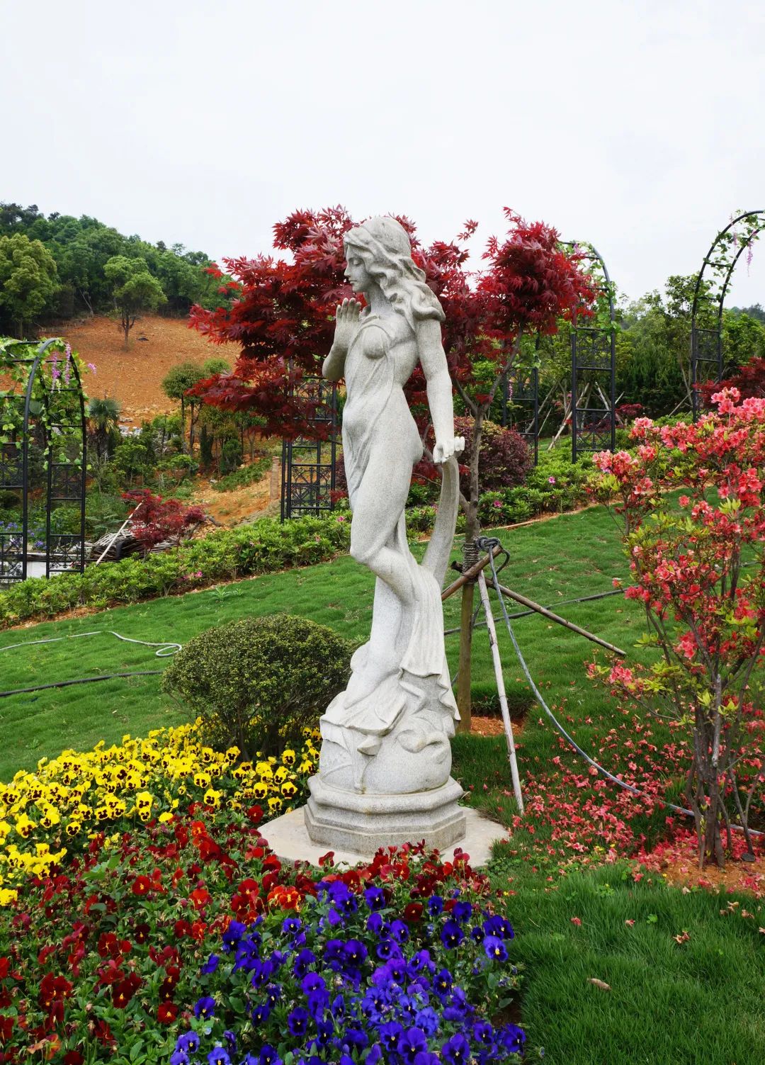 122cc太阳集成游戏(中国)有限公司官网