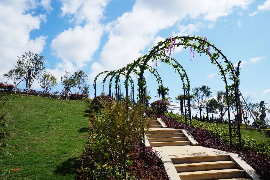 122cc太阳集成游戏(中国)有限公司官网