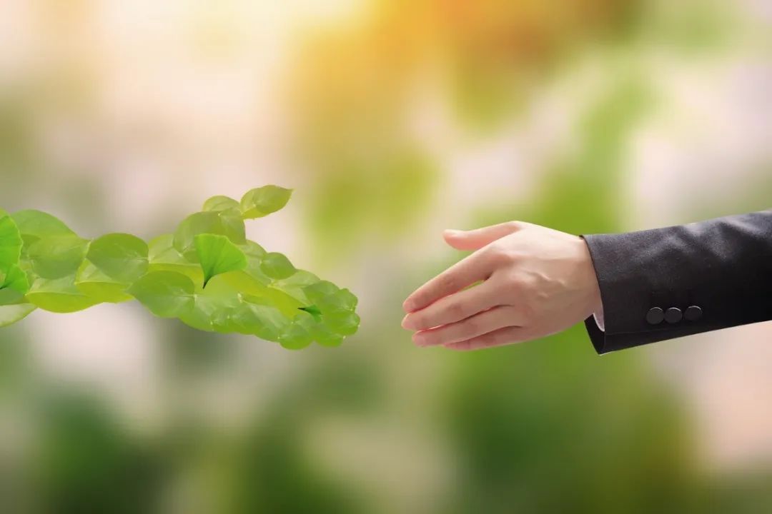 122cc太阳集成游戏(中国)有限公司官网