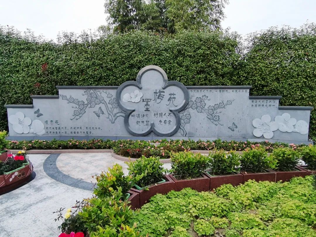 122cc太阳集成游戏(中国)有限公司官网