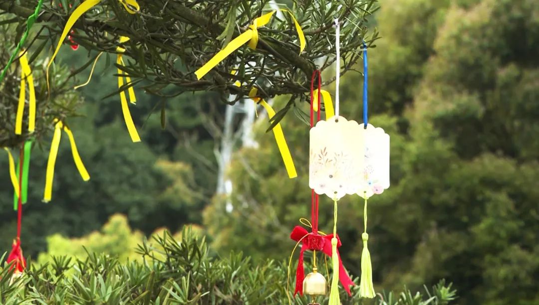 122cc太阳集成游戏(中国)有限公司官网