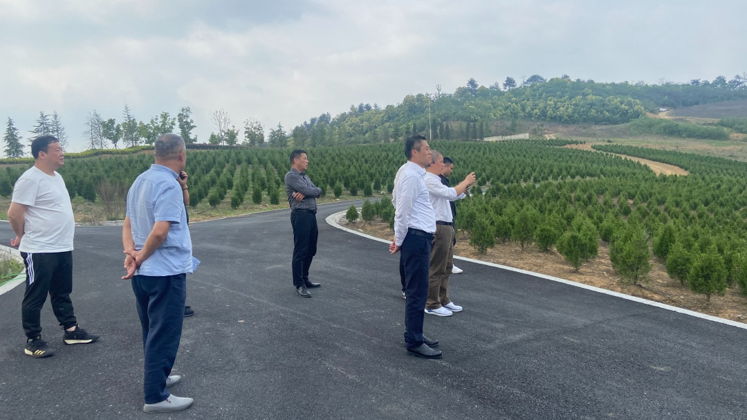 122cc太阳集成游戏(中国)有限公司官网