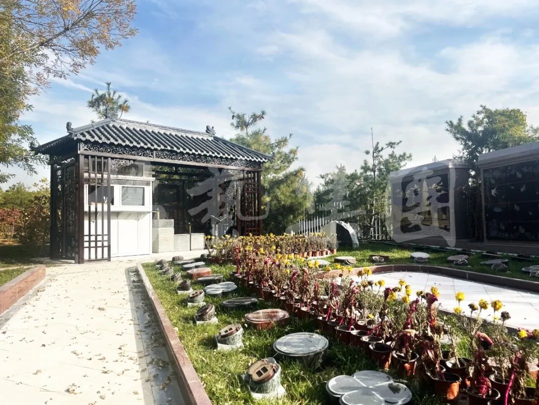 122cc太阳集成游戏(中国)有限公司官网