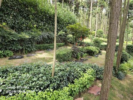 122cc太阳集成游戏(中国)有限公司官网