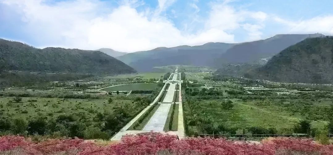 122cc太阳集成游戏(中国)有限公司官网