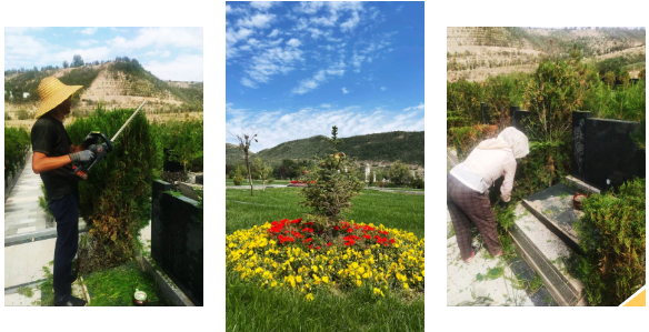 122cc太阳集成游戏(中国)有限公司官网